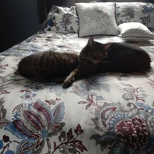 Meet your Posher, Dawne